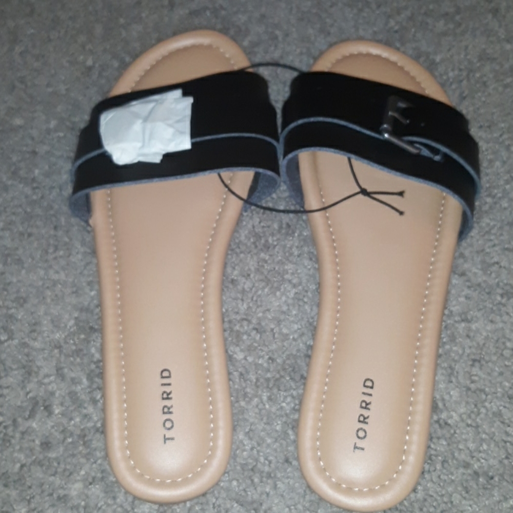 TORRID Slides